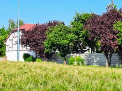 Kaczeniec Farma Ustronie Morskie